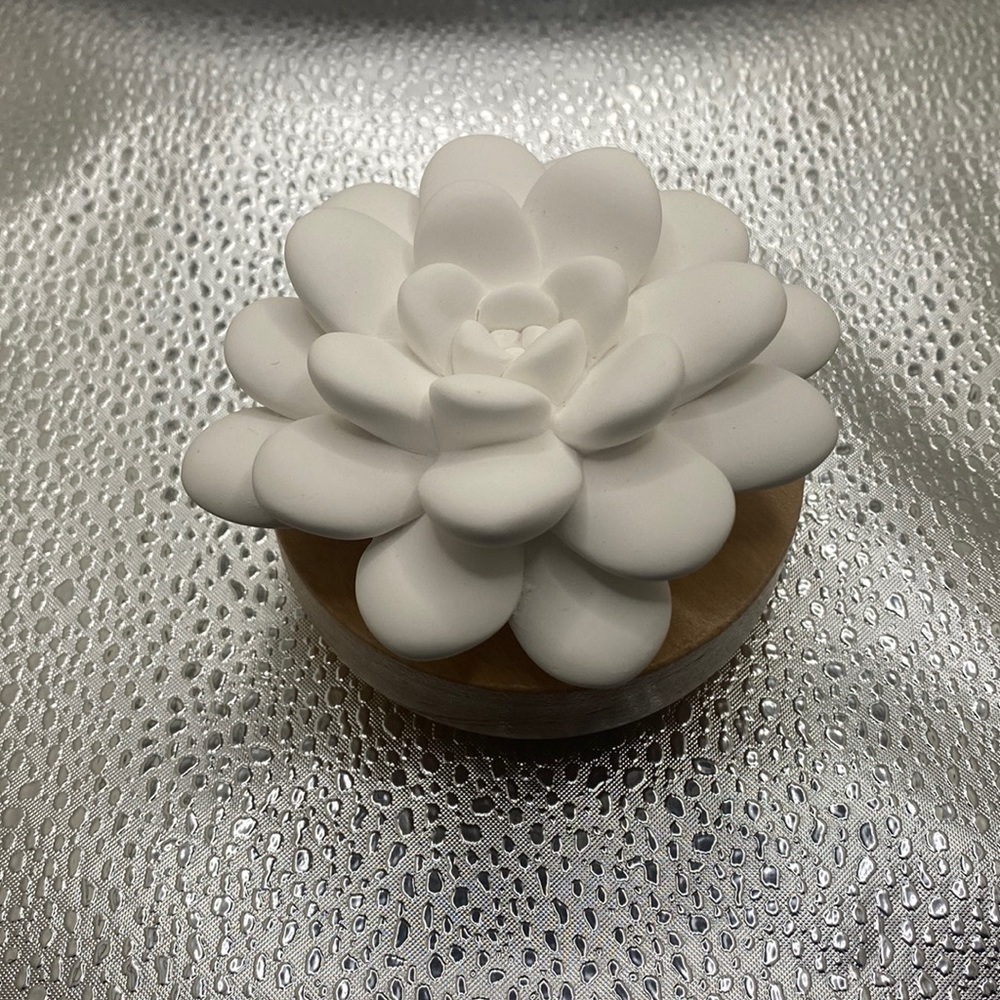 desert bloom passive diffuser